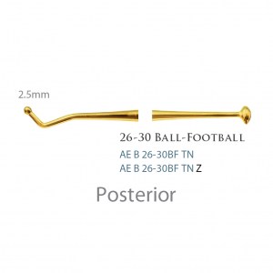 American Eagle Burnisher Ball/Football 26-30 TN