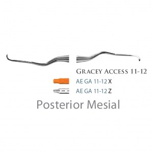 American Eagle Gracey +3 Access 11-12 X