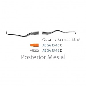 American Eagle Gracey +3 Access 15-16 Z