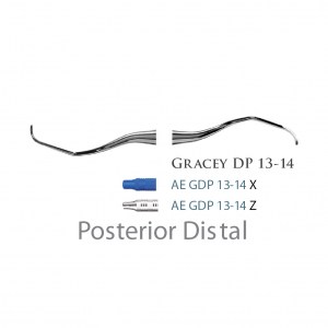 American Eagle Gracey +3 Deep Pocket 13-14 X