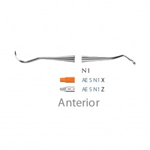 American Eagle Scaler N-1 Anterior Z