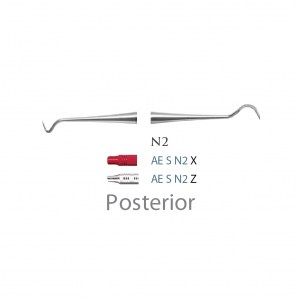 American Eagle Scaler N-2 Posterior Z