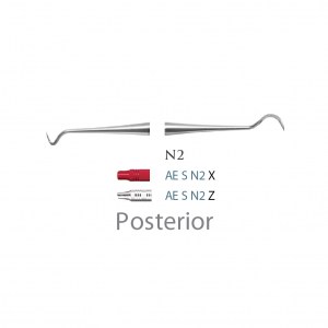 American Eagle Scaler N-2 Posterior X