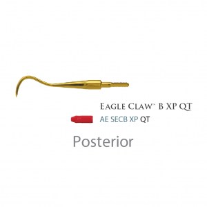 American Eagle Quik Tip Scaler Eagle Claw B XP