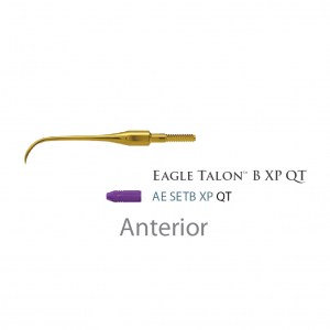 American Eagle Quik Tip Eagle Talon B XP