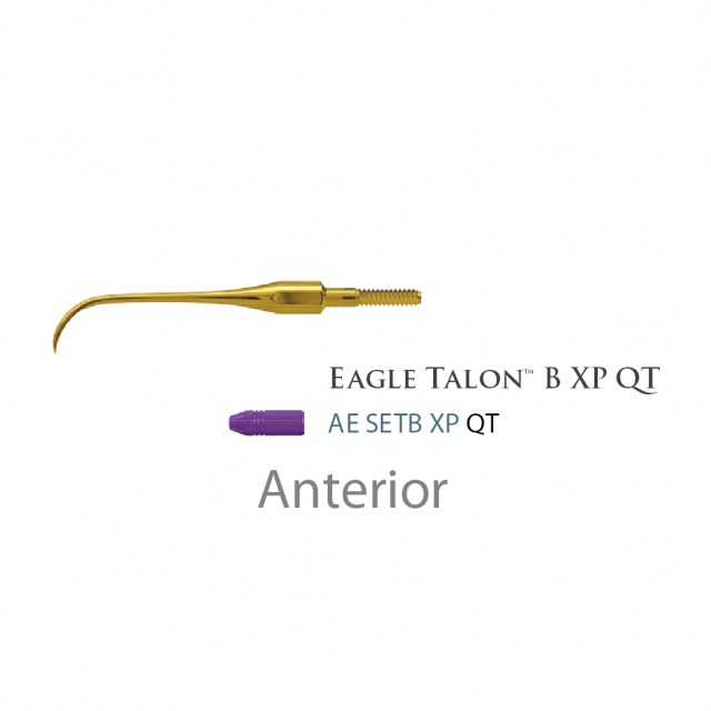 American Eagle Quik Tip Eagle Talon B XP