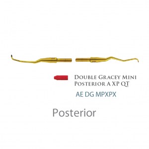 American Eagle Double Gracey Mini (Posterior Scandette) XPX